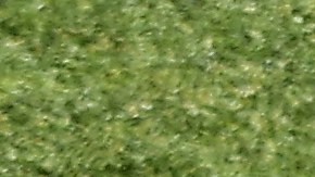 Brandon Vázquez disputando un balón en juego contra el New York Red Bull.