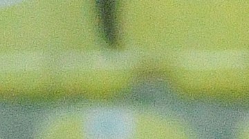 Bruce El-Nasmari se convertirá en nuevo refuerzo del América