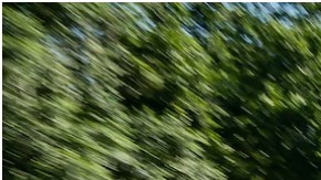 La Buick Enclave Avenir 2022 llega con 310 CV, 3 filas de asiento, un diseño aerodinámico interesante, además de un conjunto de variantes tecnológicas para maximizar rendimiento y seguridad