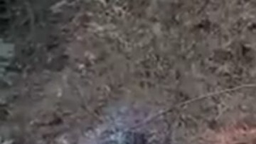 CJNG_los viagra_carteles Unidos (1)