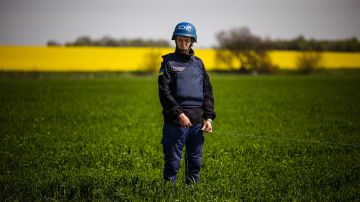 Campesinos ucranianos envenenan a tropas rusas con cerezas causando una enfermedad masiva