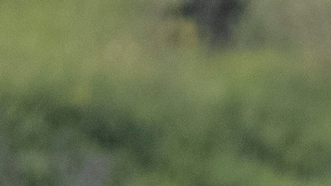 Con armas de mayor alcance, Ucrania forzó la retirada de las tropas rusas de la Isla de las Serpiente