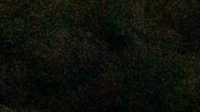 Conductor del camión donde hallaron 51 inmigrantes muertos de Texas estaba muy drogado con metanfetamina