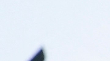 Conferencia de prensa de Gennaro Gattuso en su llegada al Valencia.