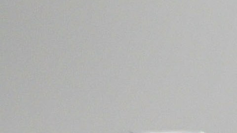 American Airlines insectos