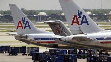 American Airlines insectos