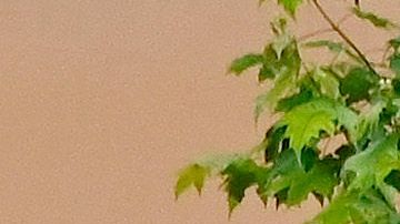 Cuáles son los estados donde las empresas no encuentran trabajadores para cubrir sus vacantes