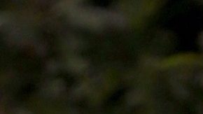 VIDEO: Daniella Navarro anuncia la llegada de un nuevo integrante a su familia