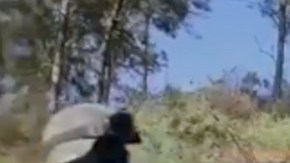 Difunden supuesta captura de un capo del CJNG.