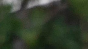 Escalofriantes palabras finales del tirador de Tulsa a un paciente antes de abrir fuego y matar a 4 en el Hospital St. Francis de Oklahoma