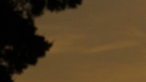 FBI investiga iglesia por casos abuso sexual