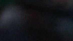 Fanático Mexicano liga a su equipo en la Serie del Caribe.