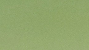 Frank Gore uniformado con los Jets.