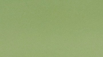 Frank Gore uniformado con los Jets.