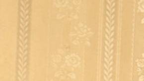 Gabriel Soto y Martha Julia.