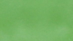 MEXICO CITY, MEXICO - SEPTEMBER 02: Gerardo Martino, head coach of Mexico gestures during the match between Mexico and Jamaica as part of the Concacaf 2022 FIFA World Cup Qualifier at Azteca Stadium on September 02, 2021 in Mexico City, Mexico. (Photo by Hector Vivas/Getty Images)