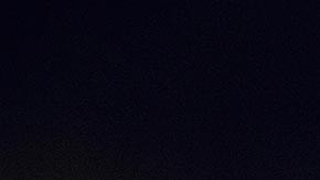 La policía investiga para identificar los restos humanos y qué relación tenían con la acusada.