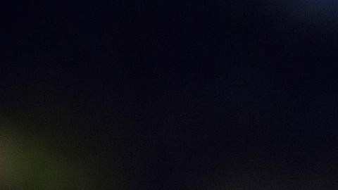 La policía investiga para identificar los restos humanos y qué relación tenían con la acusada.