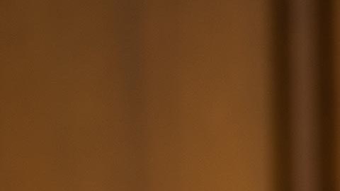 El senador texano Ted Cruz está molesto con Elmo y su papá.  por decir que la vacuna de Covid es buena.