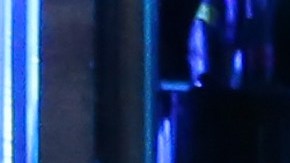 Actor de Riverdale que asesinó a su madre también planeaba matar a Justin Trudeau