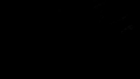 Diego Armando Maradona