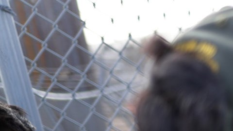 La política "Permanecer en México" fue criticada por defensores de inmigrantes.