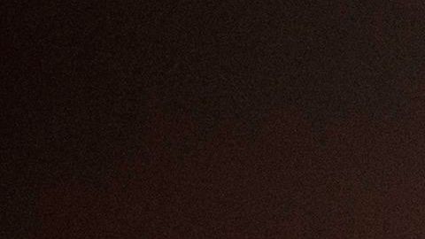 Una persona paga $19 millones de dólares en subasta para almorzar con Warren Buffett