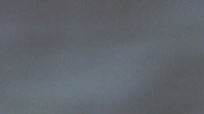 VIDEO: Hombre en Australia se defiende del feroz ataque de un cocodrilo a sartenazos