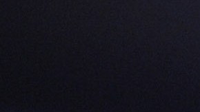 Hallan cría momificada de un mamut lanudo de hace 30,000 años en Canadá