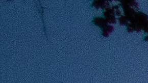 An ambulance of the LAFD Station No9 rides along Skid Row on April 12, 2020 in downtown Los Angeles, California. - One of the busiest fire station in the country , LA Fire Station 9 is on the front lines of California's homeless crisis e Coronavirus pandemic. (Photo by Apu GOMES / AFP) (Photo by APU GOMES/AFP via Getty Images)