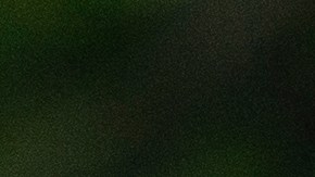 Departamento de Justicia Capitolio Mark Meadows Dan Scavino