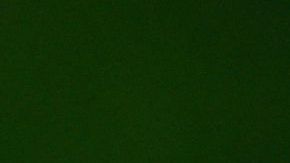 Latinos y afroamericanos sufren el racismo en Estados Unidos.