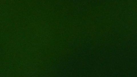 Latinos y afroamericanos sufren el racismo en Estados Unidos.