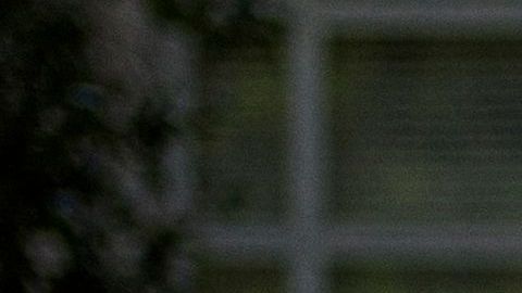 Texas Partido Republicano Houston