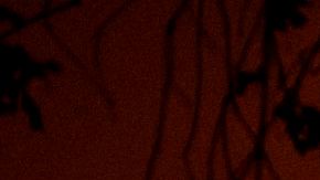 Decenas de incendios activos en Estados Unidos