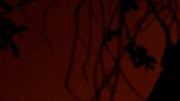 Decenas de incendios activos en Estados Unidos