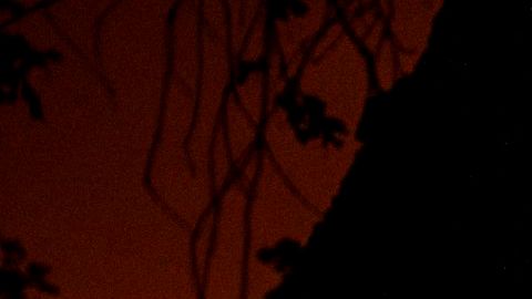 Decenas de incendios activos en Estados Unidos