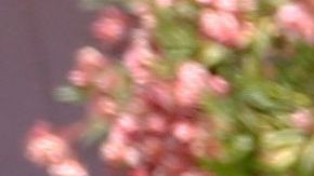 Emergency responders and San Jose Bomb Squad respond to a fire at the house of the suspect of a shooting, after nine people were reported dead including the shooter on May 26, 2021 at the San Jose Railyard in San Jose, California. - Multiple people were killed in a shooting Wednesday at a rail yard in California's Bay Area, police said, the latest instance of deadly gun violence in the United States. "I can't confirm the exact number of injuries and fatalities. But I will tell you that there are multiple injuries and multiple fatalities in this case," Russell Davis, a Santa Clara County Sheriff's deputy, told journalists, adding that the gunman was dead. (Photo by Amy Osborne / AFP) (Photo by AMY OSBORNE/AFP via Getty Images)