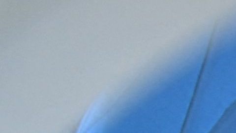 Katya Echazarreta hace historia al convertirse en la primera inmigrante hispana en viajar al espacio y convertirse inspiración