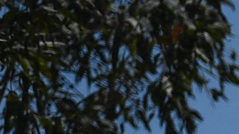 VIDEO: Policías y narcos protagonizan tiroteo en México; hay 10 muertos