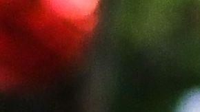 Antes de morir, maestra de Uvalde habló por teléfono con su esposo, quien era policía escolar y cuyo jefe impidió entrar