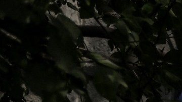 Conflicto Rusia Ucrania