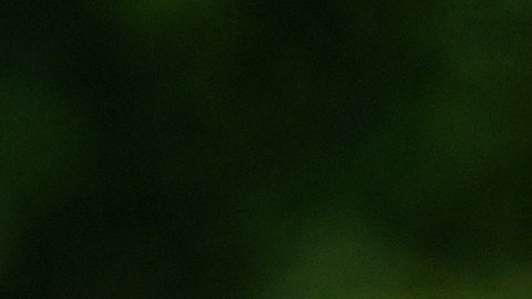 Tchouameni será la nueva apuesta del Real Madrid para acompañar a Benzema tras la renovación de Mbappé con el PSG.