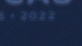 Joe Biden Cumbre de las Américas Donald Trump