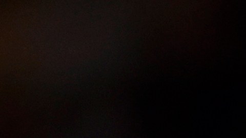 El dominicano está listo para regresar de la lista covid.