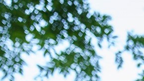 Los 'dreamers' piden al Congreso aprobar una reforma migratoria.