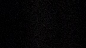 Mike Pence Donald Trump Capitolio