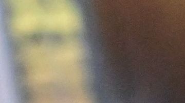 La mexicana buscará el título ante la estadounidense.