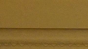 Trump presionó al Dpto. de Justicia para revocar las elecciones de 2020