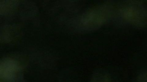 Joe Biden G7 Olaf Scholz